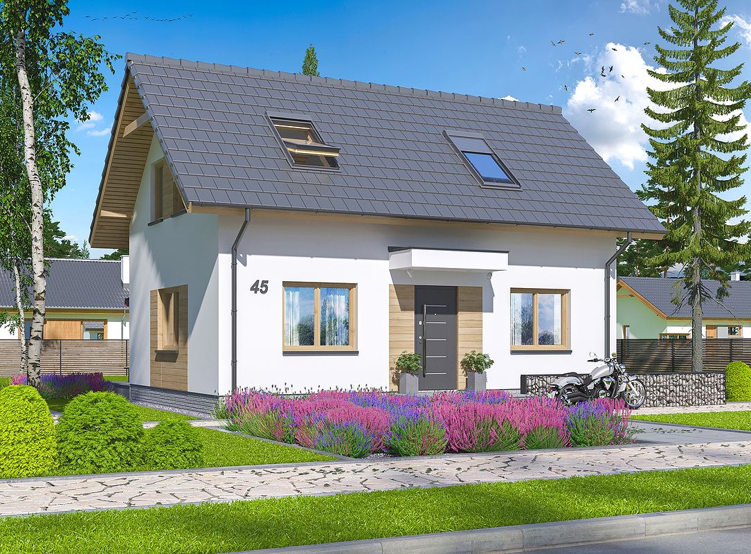 Проект дома EFH-1229-11